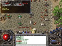 传奇一条龙1.76小极品-猪洞八层|加官进爵|HEROM