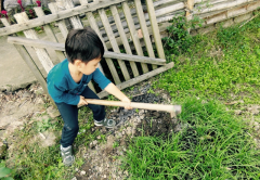 开服一条龙转孙俪带儿子下地干活 等等锄草摘菜超认真