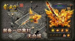 久玖龍武微变靓装传奇版本灵魂注入-GOM