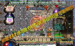 白狐迷失特色版耐玩性极高长久而不变态-HERO