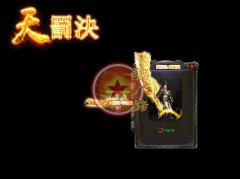 传奇一条龙天罚决微变活动多多.激情多靓装版-GOM