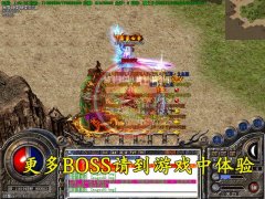 鸳鸯蝴蝶微变元宝金猪终极使者RMB大爆靓装-HERO