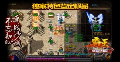 1.76霸王鉴定大极品开区版本新增十几种最新活动-GOM